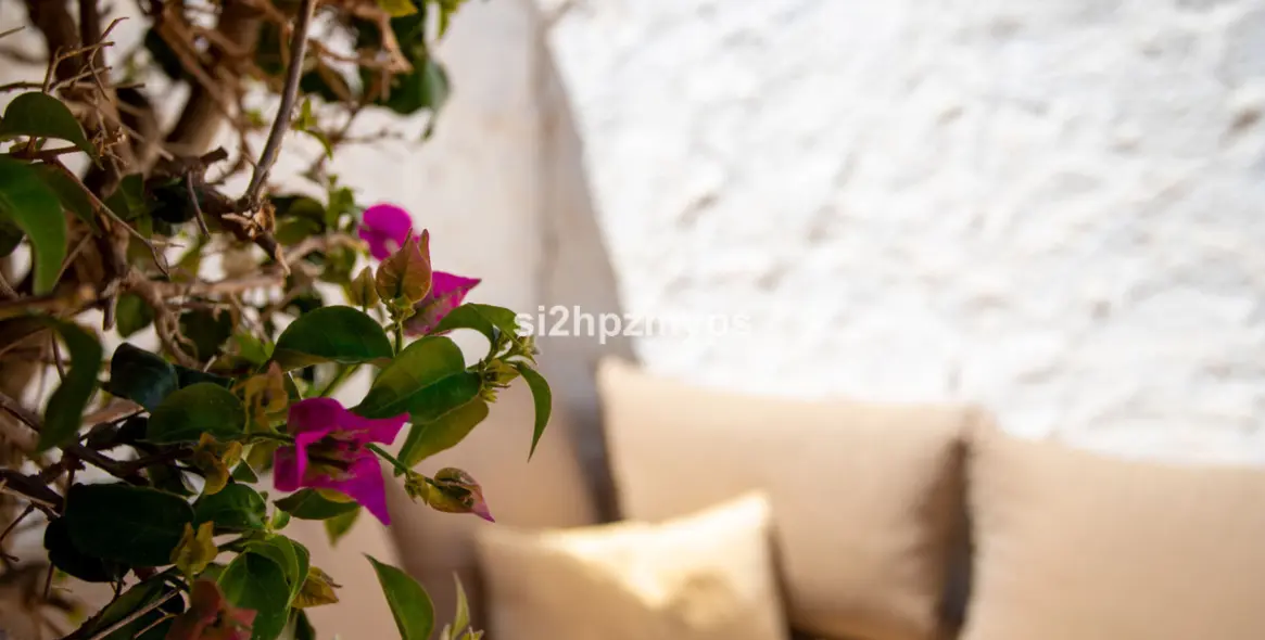 Продажа таунхауса в Nerja 24