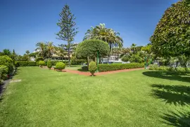 Image 8 thumb