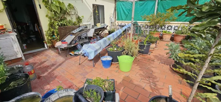 Sale of semi-detached house in Estepona 4