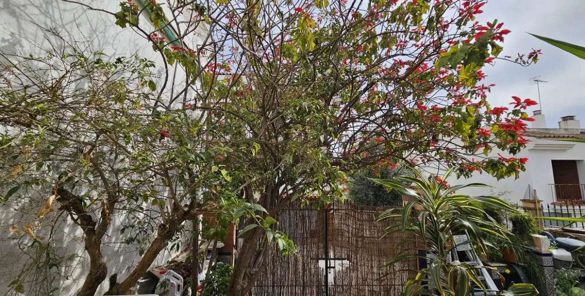 Sale of semi-detached house in Estepona 9