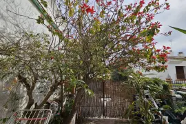 Image 9 thumb