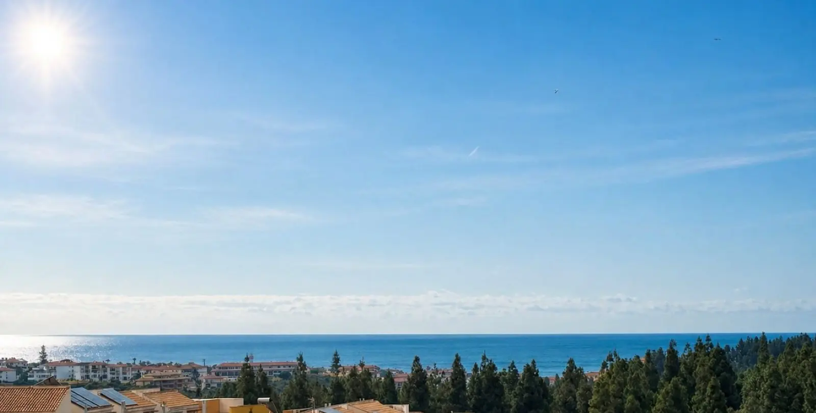 Sale of penthouse in El Chaparral 1