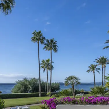 Продажа апартаментов на первом этаже в Estepona