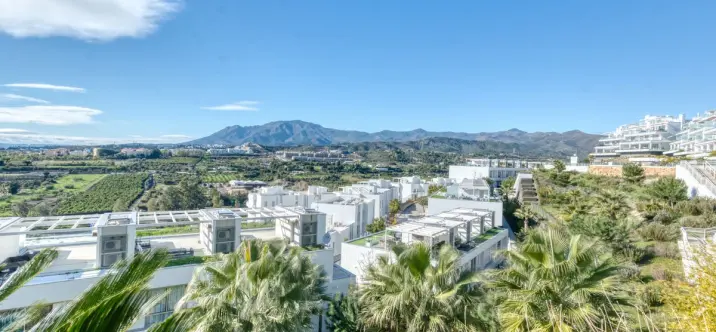 Sale of ground floor apartment in Estepona 1