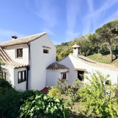 Venta de finca - cortijo en Casares