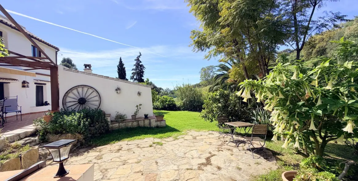 Venta de finca - cortijo en Casares 2