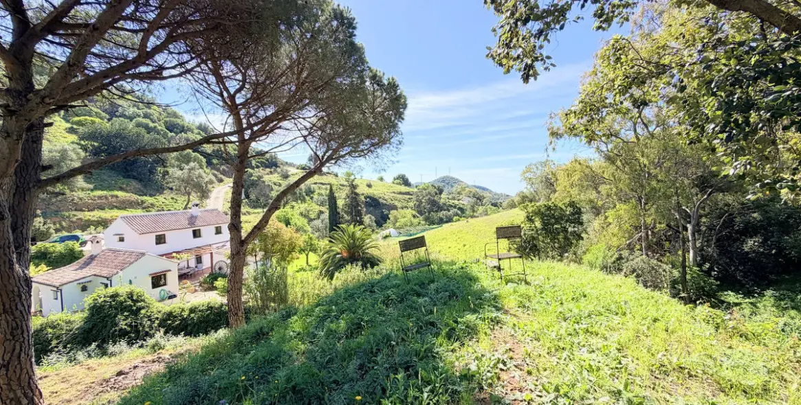 Venta de finca - cortijo en Casares 3