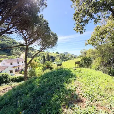 Venta de finca - cortijo en Casares