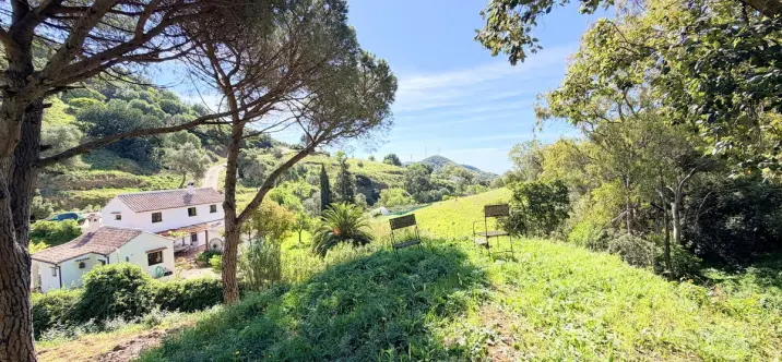 Venta de finca - cortijo en Casares 2