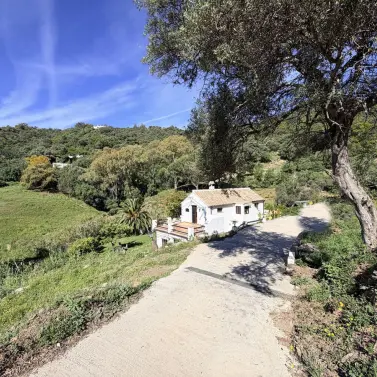 Venta de finca - cortijo en Casares