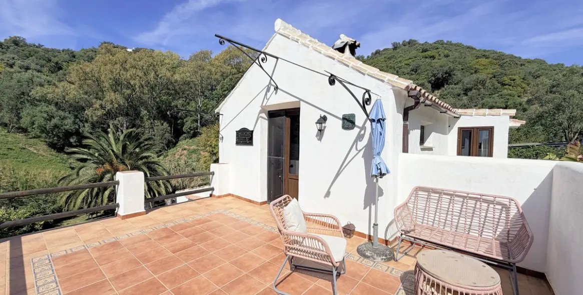 Venta de finca - cortijo en Casares 26