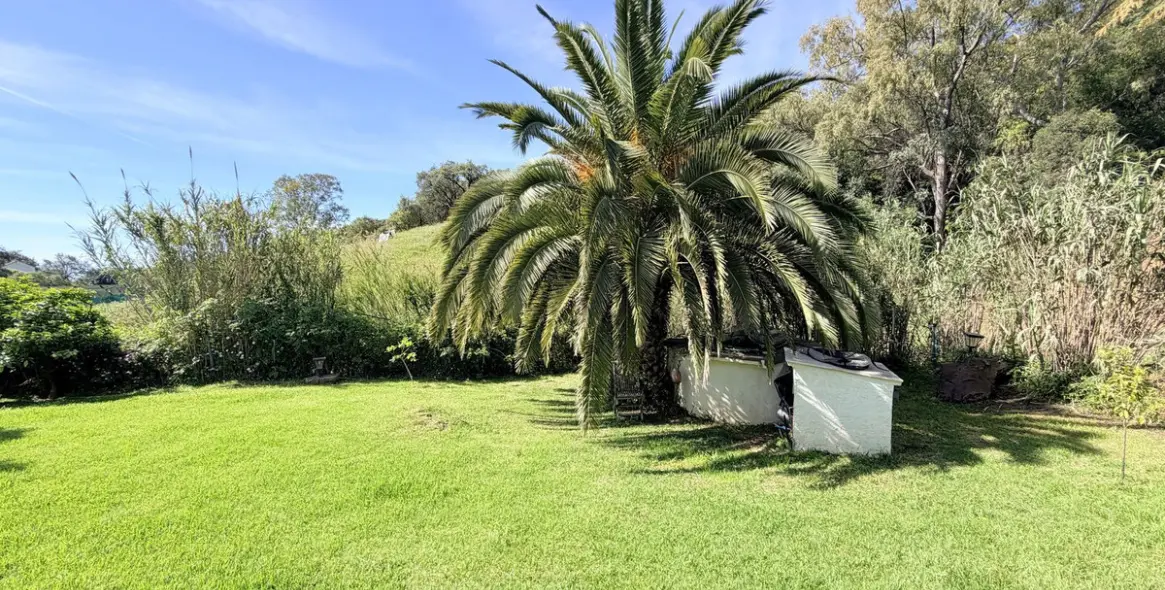 Venta de finca - cortijo en Casares 32