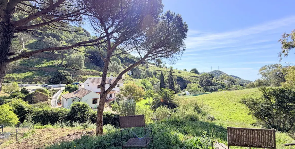 Venta de finca - cortijo en Casares 34