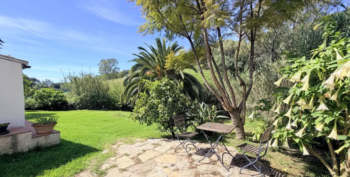 Venta de finca - cortijo en Casares 35