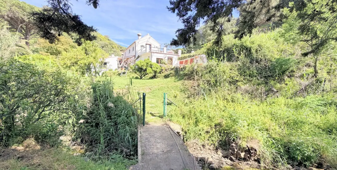 Venta de finca - cortijo en Casares 36