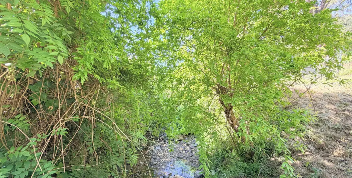 Venta de finca - cortijo en Casares 37