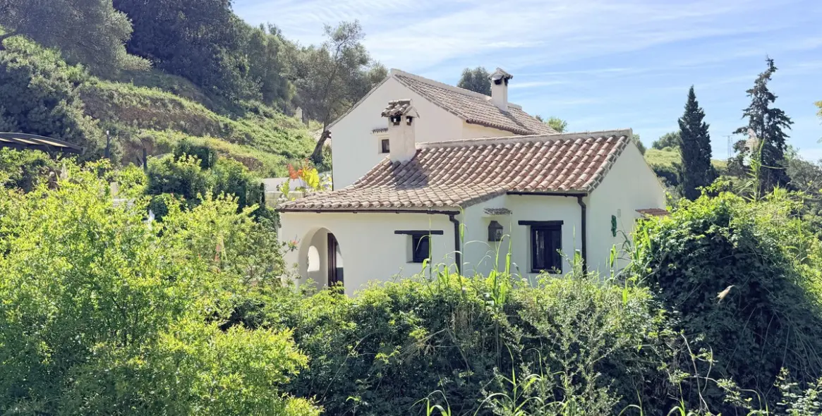 Venta de finca - cortijo en Casares 39