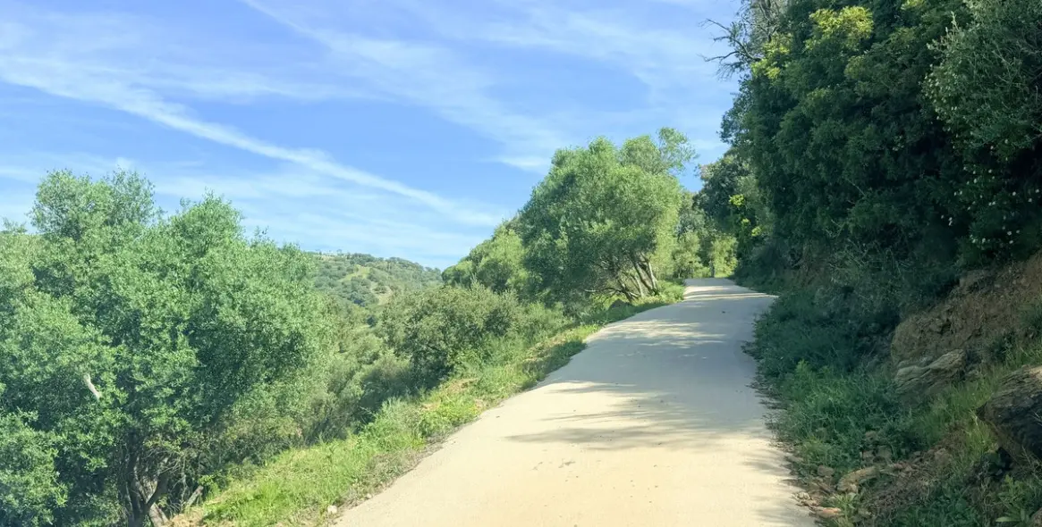 Venta de finca - cortijo en Casares 45