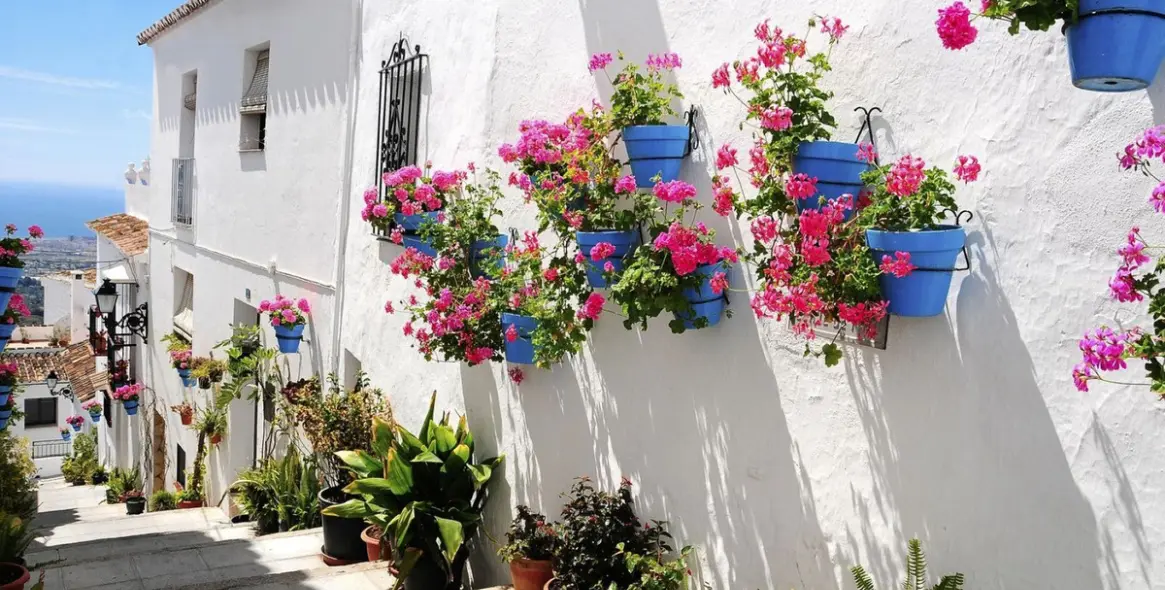 Venta de finca - cortijo en Casares 46