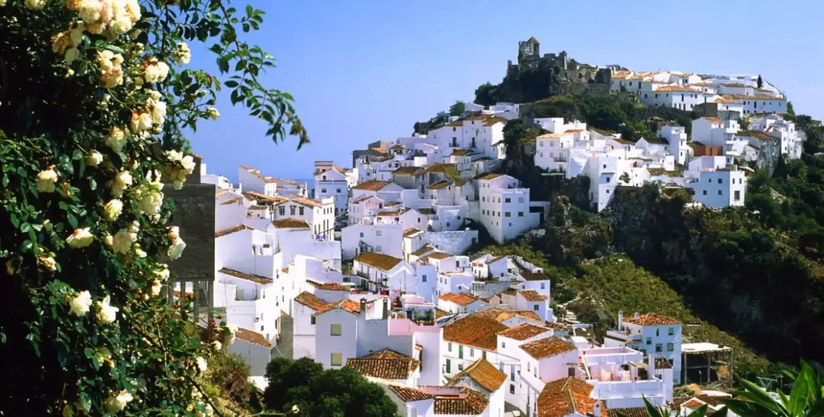 Venta de finca - cortijo en Casares 47