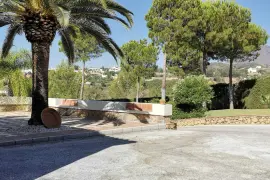 Image 9 thumb