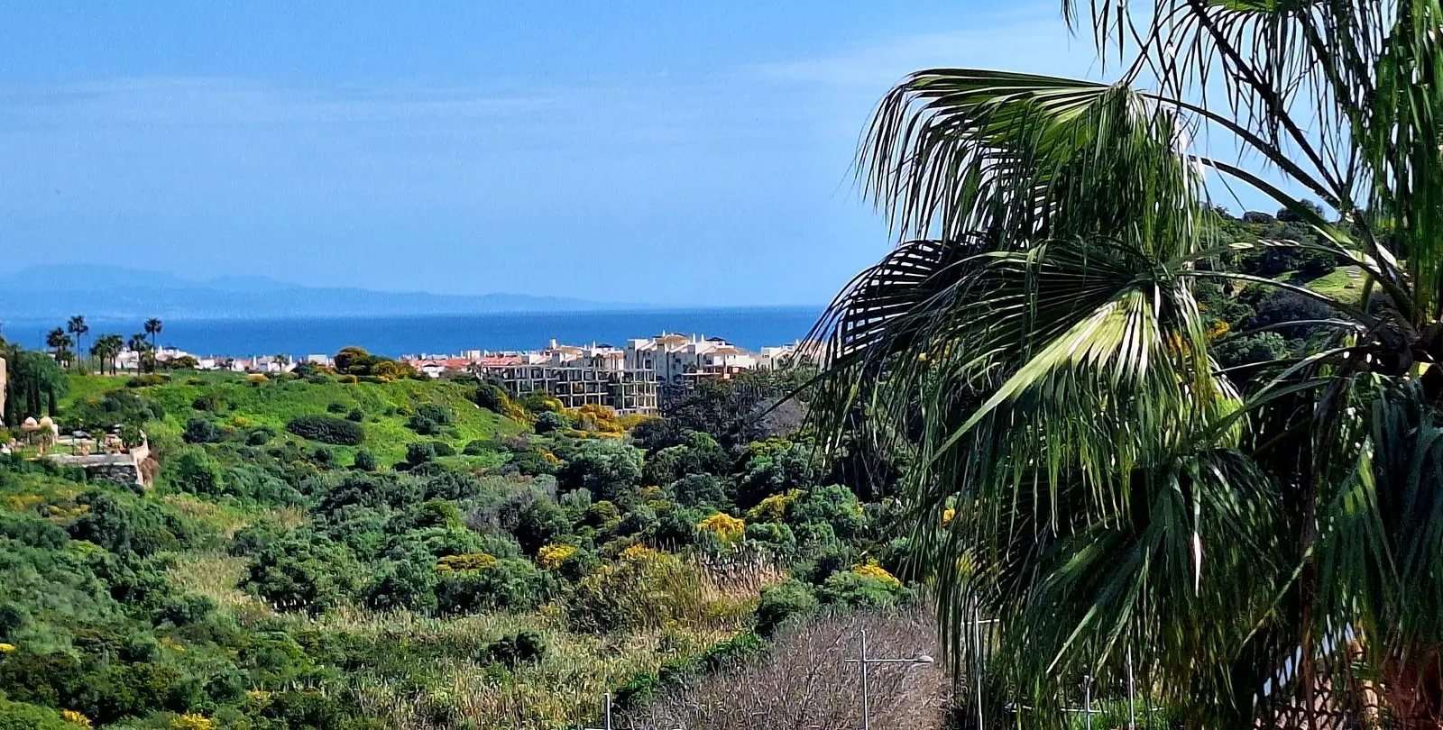 Продажа пентхауса в La Duquesa 23