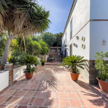 Venta de finca - cortijo en Coín