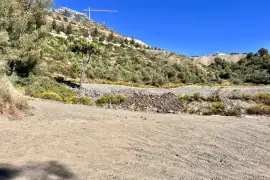 Image 6 thumb