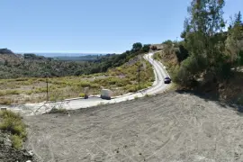 Image 19 thumb