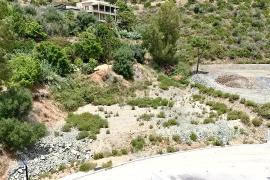 Image 7 thumb