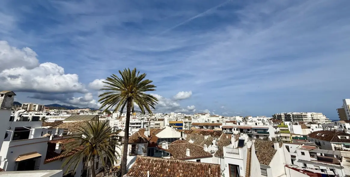 Sale of apartment complex in Marbella 4