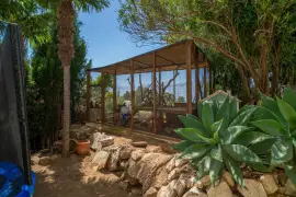Image 69 thumb