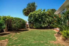 Image 84 thumb