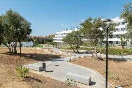 Image 4 thumb