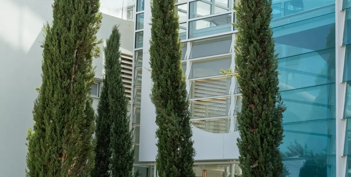 Продажа апартаментов на первом этаже в Fuengirola 56