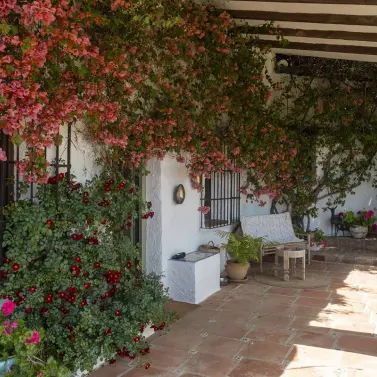 Venta de finca - cortijo en Alhaurín el Grande