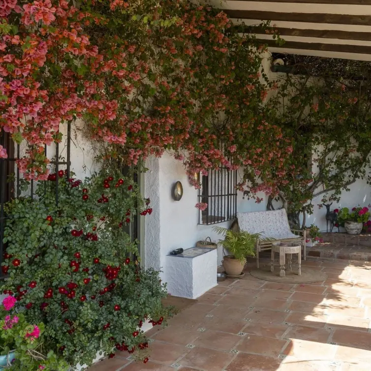 Sale of finca - cortijo in Alhaurín el Grande