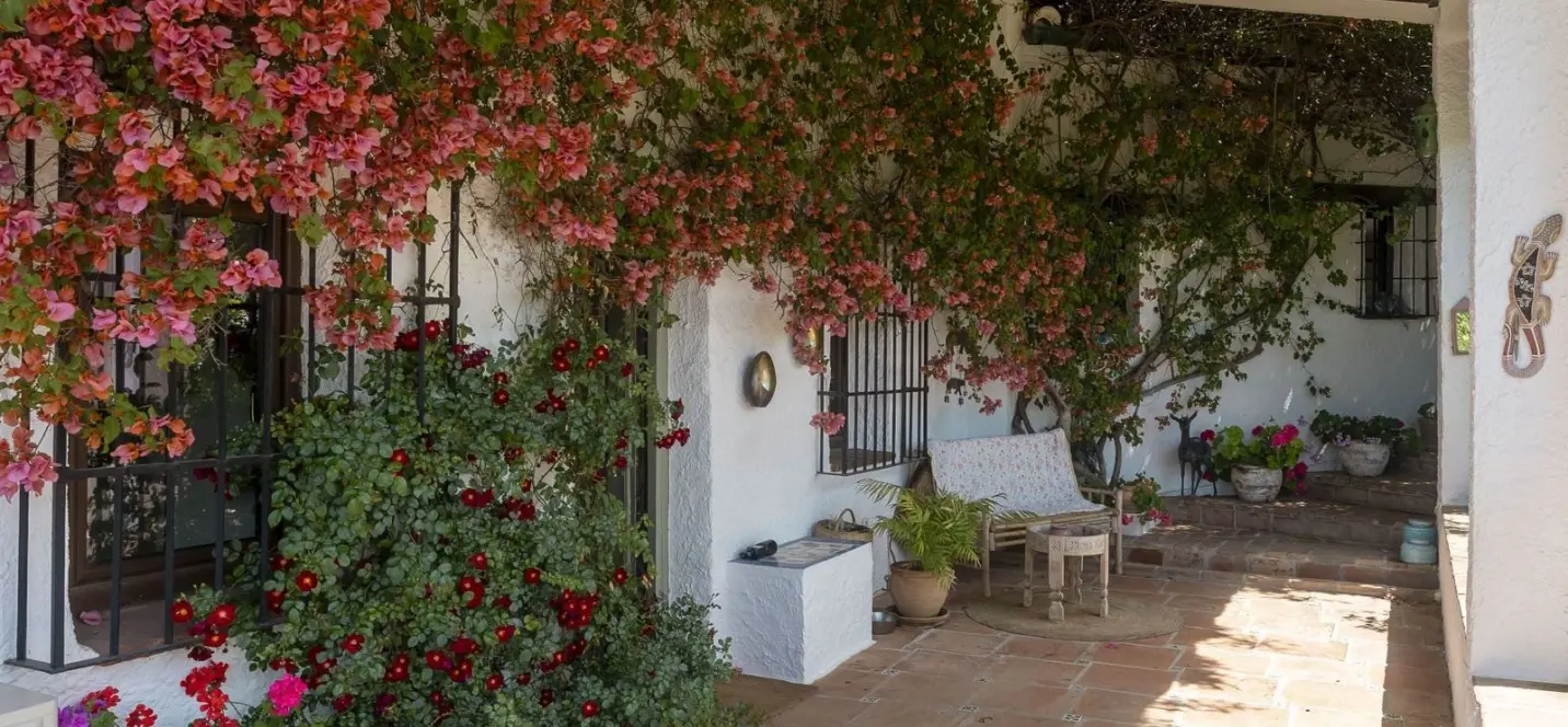 Sale of finca - cortijo in Alhaurín el Grande 3