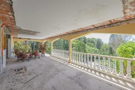 Image 8 thumb