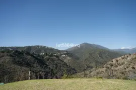 Image 7 thumb