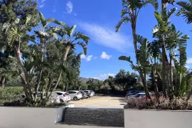 Image 8 thumb
