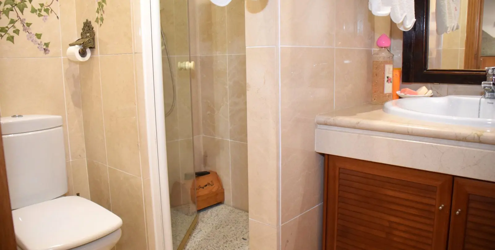Venta de casa pareada en Santa Clara 22