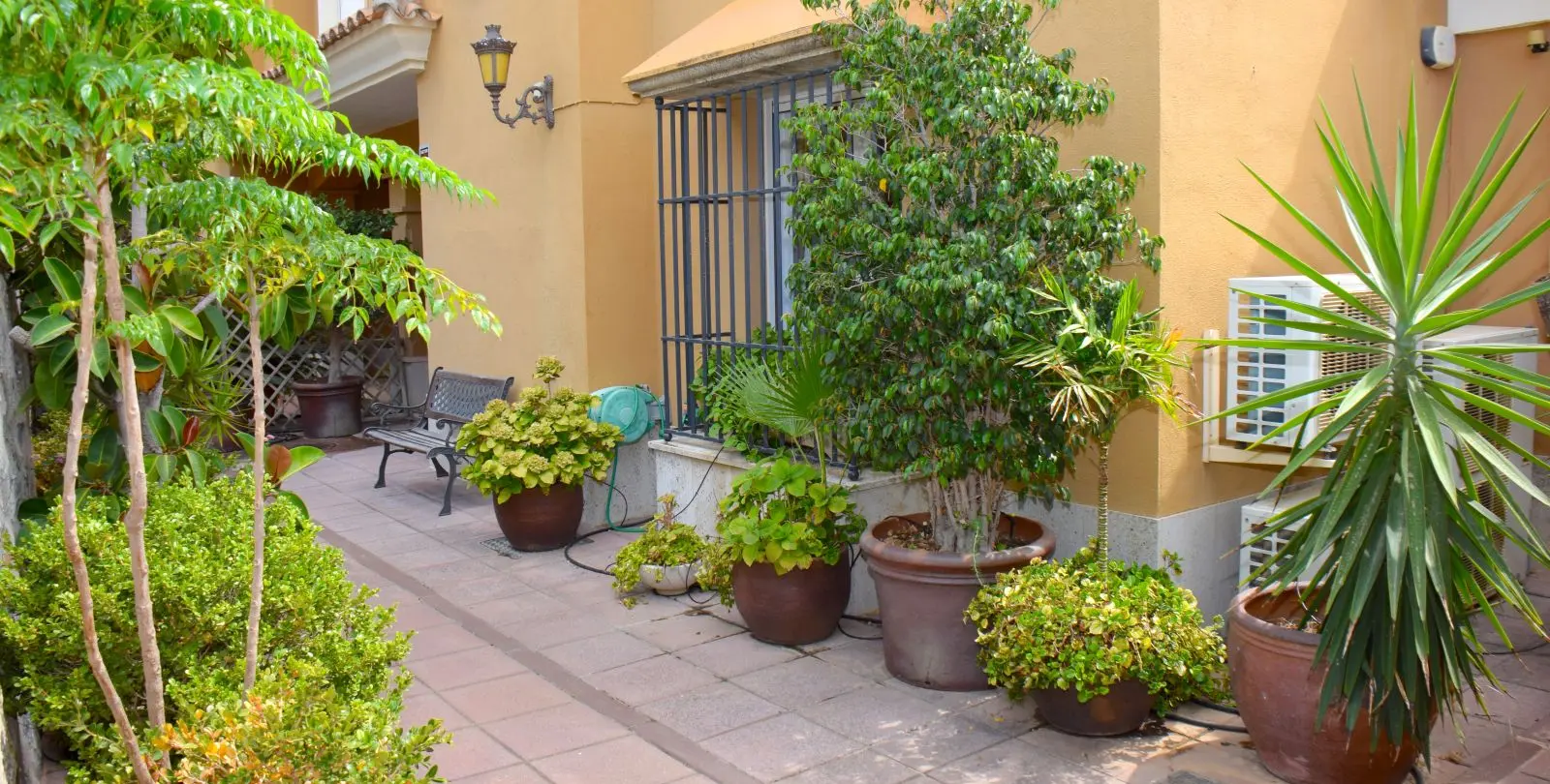 Venta de casa pareada en Santa Clara 24