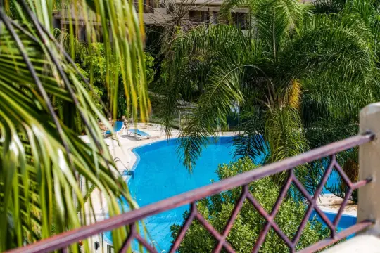 Image 21 thumb