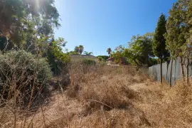 Image 18 thumb