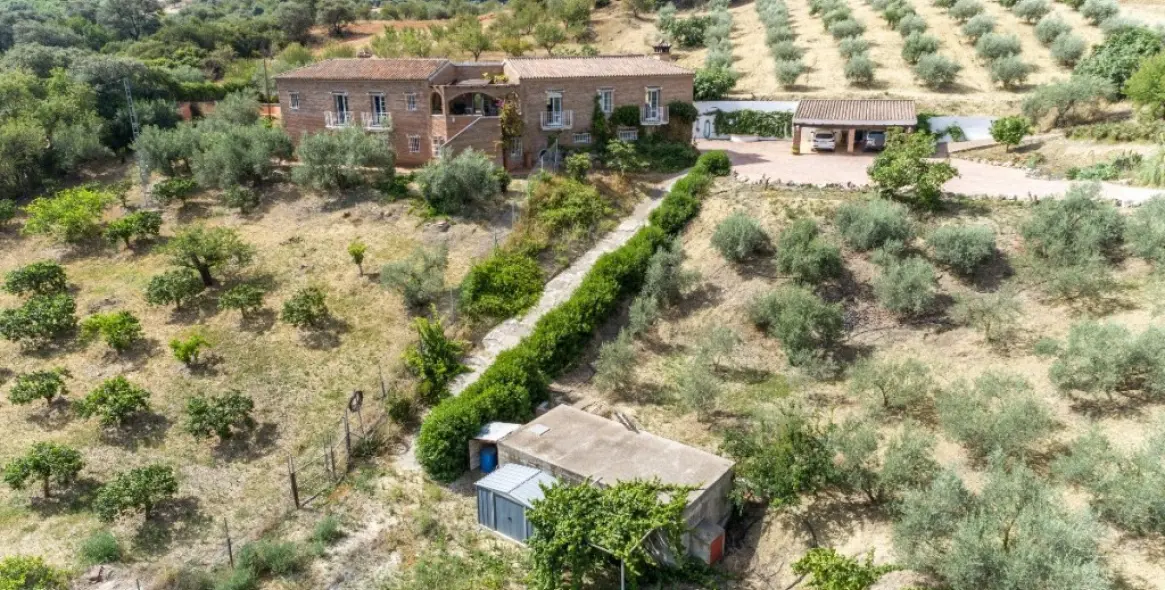 Venta de finca - cortijo en Alhaurín de la Torre 4