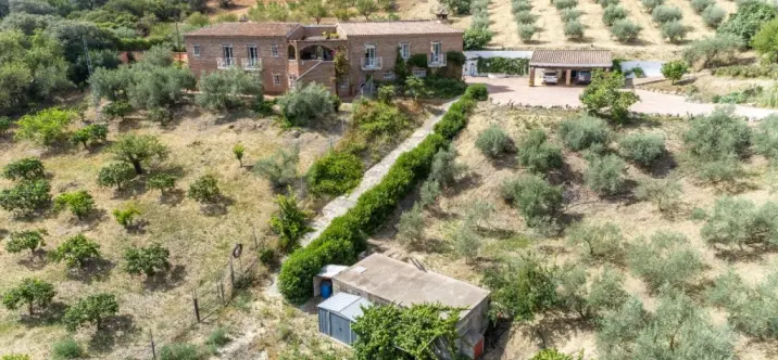 Venta de finca - cortijo en Alhaurín de la Torre 3