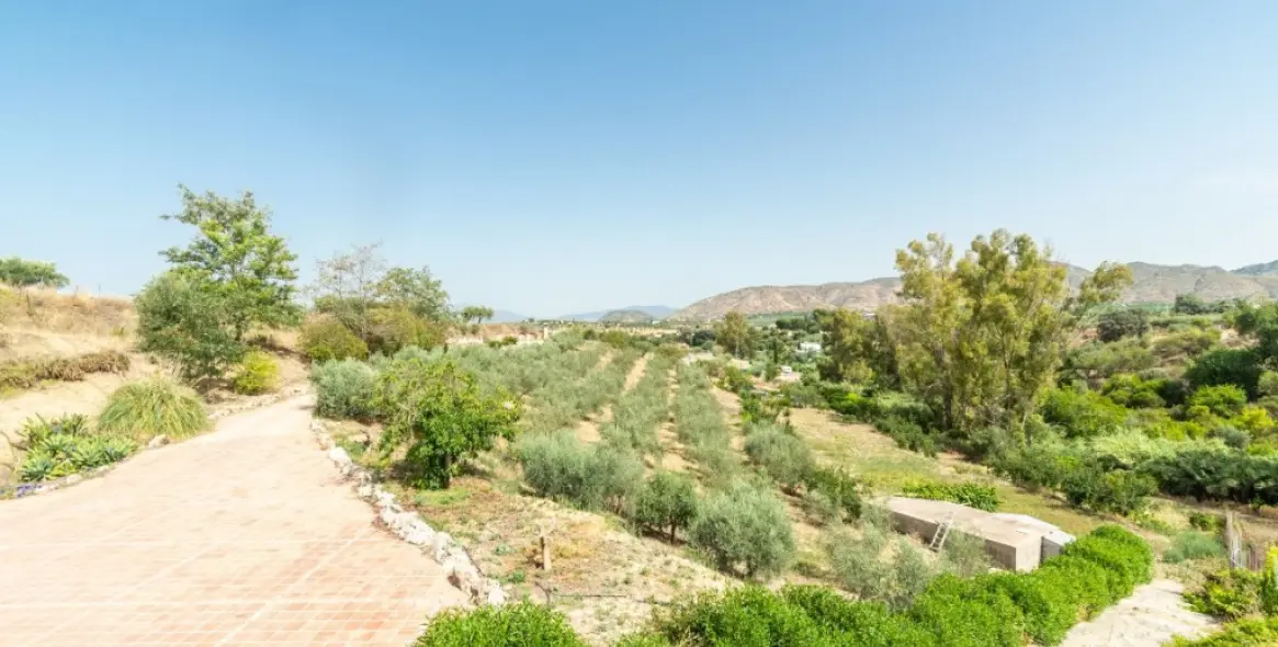 Venta de finca - cortijo en Alhaurín de la Torre 18