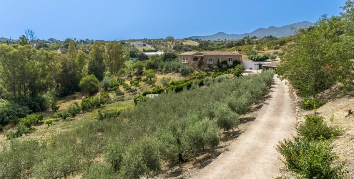 Venta de finca - cortijo en Alhaurín de la Torre 37