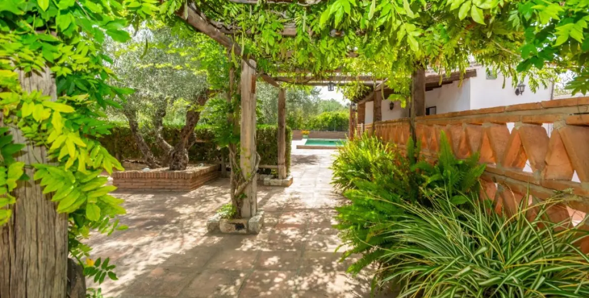 Venta de finca - cortijo en Alhaurín de la Torre 41